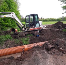 Click Here To View Larger Image